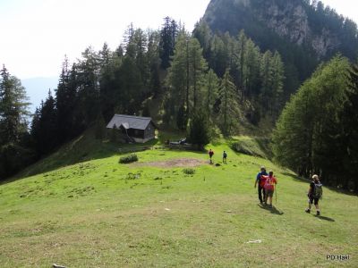 Fistravec_Dobrac_2013-079.JPG