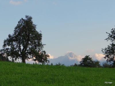 Fistravec_Dobrac_2013-094.JPG