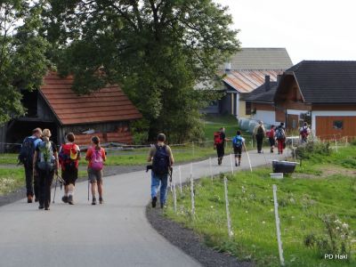 Fistravec_Dobrac_2013-095.JPG