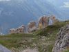 Fistravec_Dobrac_2013-050.JPG