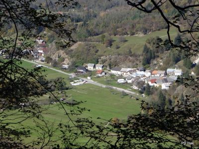 Fistravec_Golobar_2015-016.JPG
