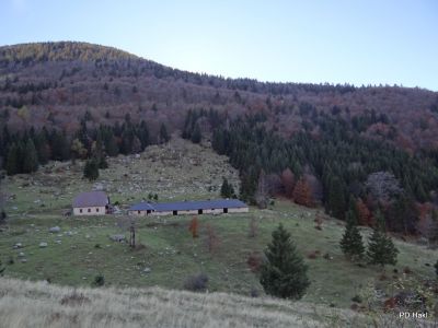 Fistravec_Golobar_2015-034.JPG