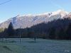 Fistravec_Golobar_2015-011.JPG