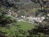 Fistravec_Golobar_2015-016.JPG