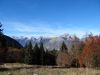 Fistravec_Golobar_2015-021.JPG