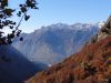 Fistravec_Golobar_2015-031.JPG