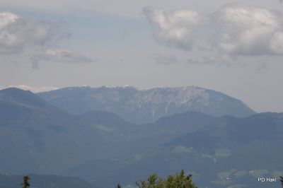 Fistravec_Menina_planina_2011-110.JPG