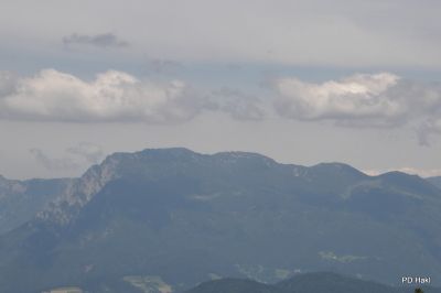Fistravec_Menina_planina_2011-111.JPG