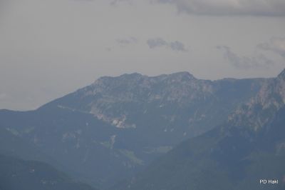Fistravec_Menina_planina_2011-112.JPG