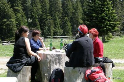 Fistravec_Menina_planina_2011-132.JPG