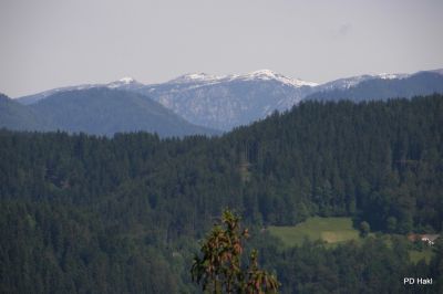 Fistravec_Menina_planina_2011-23.JPG