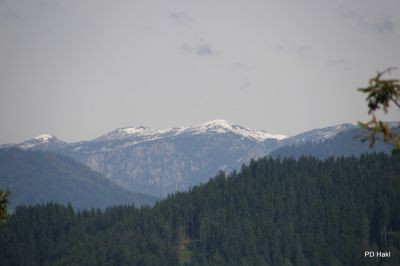 Fistravec_Menina_planina_2011-35.JPG