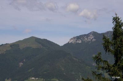 Fistravec_Menina_planina_2011-41.JPG