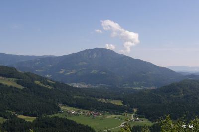 Fistravec_Menina_planina_2011-43.JPG