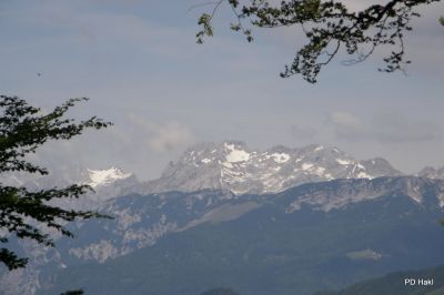Fistravec_Menina_planina_2011-82.JPG
