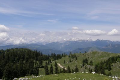 Fistravec_Menina_planina_2011-89.JPG