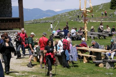 Fistravec_Menina_planina_2011-94.JPG