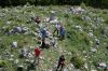 Fistravec_Menina_planina_2011-113.JPG