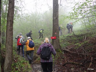 Fistravec_Mrzlica_2015-004.JPG