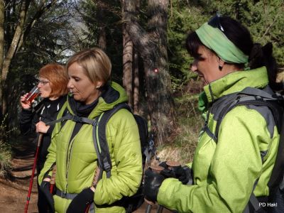 Fistravec_Mrzlica_2015-011.JPG