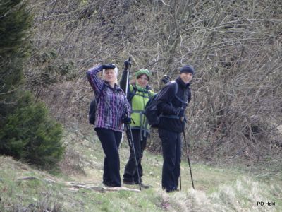 Fistravec_Mrzlica_2015-047.JPG