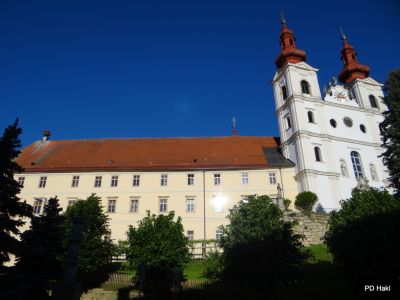 Fistravec_V_nasi_grabi_2013-001.JPG