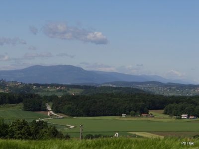 Fistravec_V_nasi_grabi_2013-035.JPG