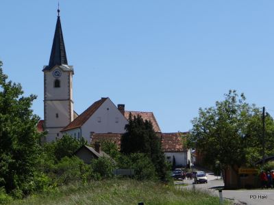 Fistravec_V_nasi_grabi_2013-039.JPG