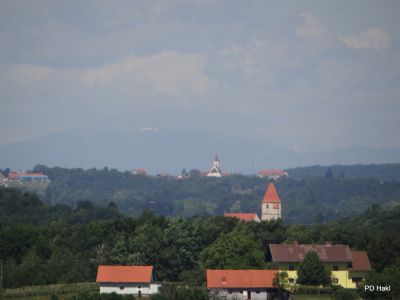 Fistravec_V_nasi_grabi_2013-040.JPG