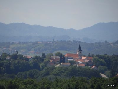 Fistravec_V_nasi_grabi_2013-041.JPG