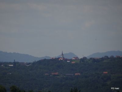 Fistravec_V_nasi_grabi_2013-044.JPG