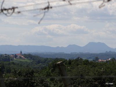 Fistravec_V_nasi_grabi_2013-055.JPG