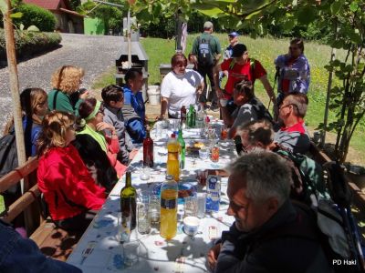 Fistravec_V_nasi_grabi_2013-056.JPG