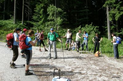 Fistravec_Smrekovec_2011_-12.JPG