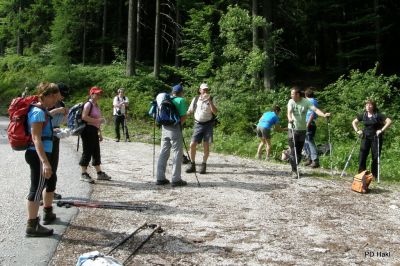 Fistravec_Smrekovec_2011_-13.JPG