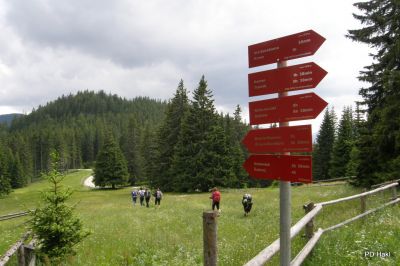 Fistravec_Smrekovec_2011_-130.JPG