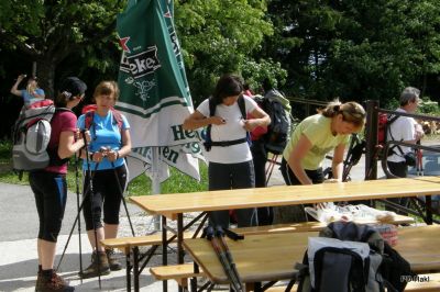 Fistravec_Smrekovec_2011_-24.JPG
