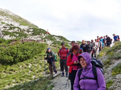 Fistravec_Triglav_2013-009.JPG