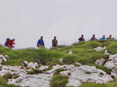 Fistravec_Triglav_2013-027.JPG
