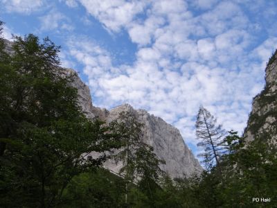 Fistravec_Triglav_2011_-14.JPG