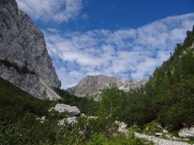Fistravec_Triglav_2011_-17.JPG
