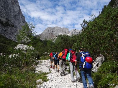 Fistravec_Triglav_2011_-18.JPG