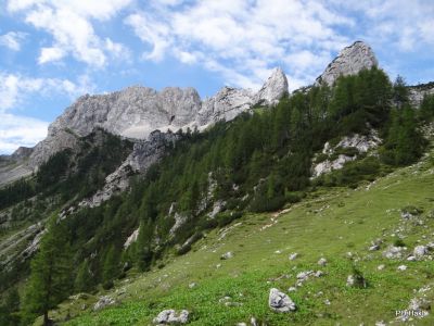 Fistravec_Triglav_2011_-28.JPG