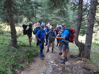 Fistravec_Triglav_2012-005.JPG
