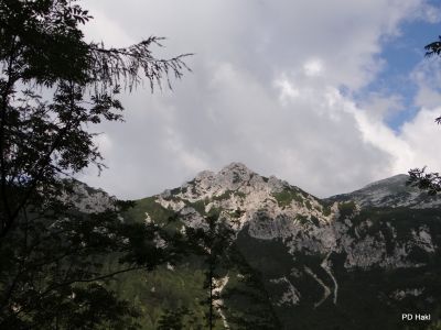Fistravec_Triglav_2012-006.JPG