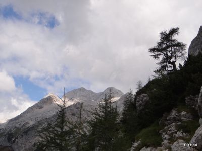 Fistravec_Triglav_2012-032.JPG