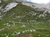 Fistravec_Triglav_2012-047.JPG