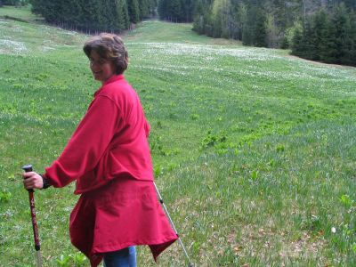 Branko Družovec - Golica 11. maj 2008.
Branko Družovec - Golica 11. maj 2008.
Ključne besede: Družovec Golica maj