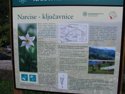 Branko Družovec - Golica 11. maj 2008.
Branko Družovec - Golica 11. maj 2008.
Ključne besede: Družovec Golica maj