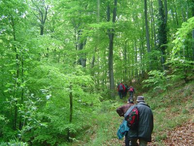 Drago Lipič - Haloze 2008
Drago Lipič - Haloze 2008
Ključne besede: Drago Lipič Haloze